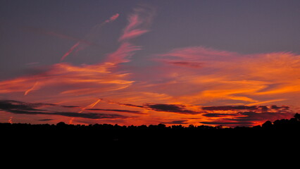 Beautiful sunset sky over a silhouetted forest
