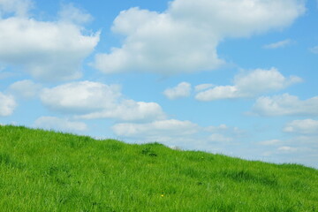 Scenic view of a lush green grass field on a hill and vivid blue sky with white fluffy clouds above