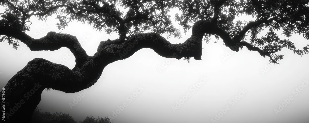 Poster monochrome tree silhouette on a misty overcast background branches twisted in an abstract pattern wi