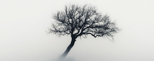 Silhouette of a Bare Tree in Foggy White Landscape Minimalist Black and White Scenery Featuring a Solitary Tree Trunk and Branches Emerging from a Thick Misty Background
