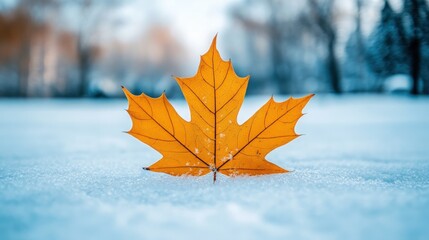Golden leaf on snowy ground