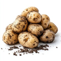 Freshly harvested potatoes