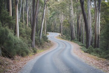 Obraz premium A Scenic Road Covered in Autumn Leaves Winding Through the Forest