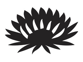 Strawflower Head Illustration, Vibrant Floral Art, Colorful Flower Bloom, Summer Flowering Plant