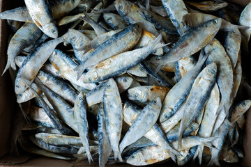 A close-up overhead view of a pile of ikan asin (salted dried sardines) in a cardboard box. A traditional preserved seafood.