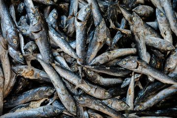 A close-up overhead view of a pile of dried fish, appearing to be ikan asin (salted dried fish), possibly a mix of small mackerel and round scad. Preserved seafood.
