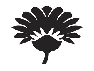 Obraz premium Strawflower Head Illustration, Vibrant Floral Art, Colorful Flower Bloom, Summer Flowering Plant