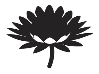 Fototapeta premium Strawflower Head Illustration, Vibrant Floral Art, Colorful Flower Bloom, Summer Flowering Plant