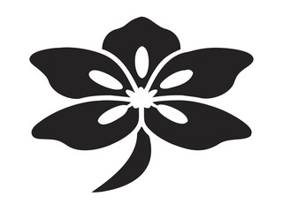 Waxflower Bloom Illustration, Delicate Pink Flowers, Spring Floral Art, Fresh Garden Blooms