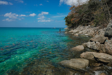 High-resolution tropical coast wallpapers featuring Phuket, Thailand: vibrant turquoise water lapping golden sand, a traditional long-tail boat near a palm-fringed cove, and a solitary sailboat drifti