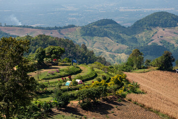 THAILAND NAN DOI SAMER DAO CAMPING © flu4022