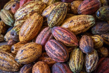 THAILAND NAN PUA VILLAGE COCOA VALLEY CHOCOLATE