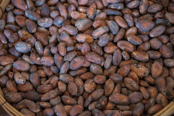 THAILAND NAN PUA VILLAGE COCOA VALLEY CHOCOLATE