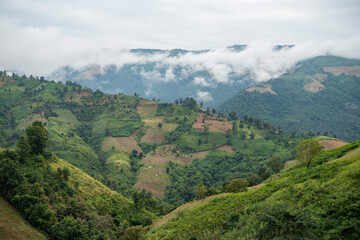 THAILAND NAN PUA BAN SAKAD LANDSCAPE