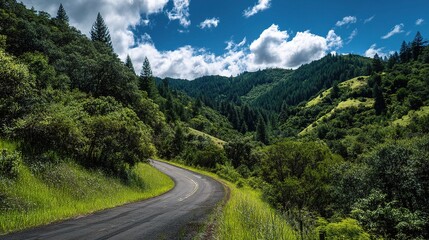 Fototapeta premium Winding Road Through Lush Green Forested Area Under Blue Sky