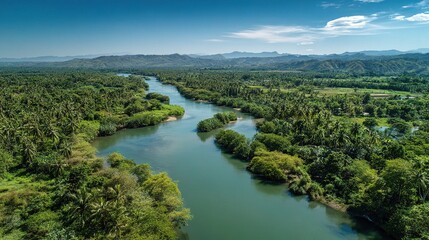 Aerial View of Tropical Landscape with Rivers and Lush Green Trees