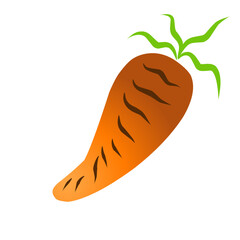Stylized vector carrot on black background for healthy eating concepts