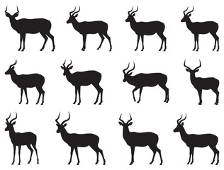 IMPALA SILHOUETTE WHITE BACKGROUND