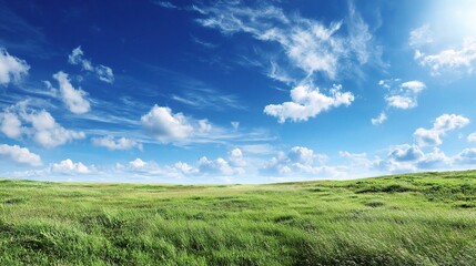 Obraz premium Open Field Under Bright Blue Sky with Light Breezes