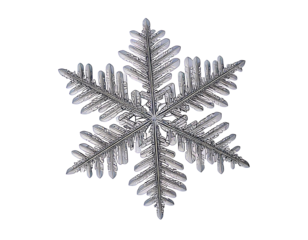 Intricate snowflake detail against a pristine white background.  A stunning macro shot capturing the unique beauty and symmetry of a single ice crystal.