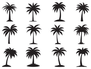 PALM TREES SILHOUETTE