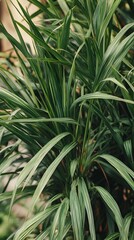 Lush Green Tropical Plant Leaves Background Texture