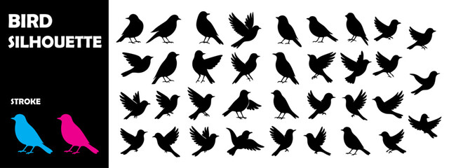 Bird Silhouette Vector Set – Various Flying Poses and Positions Collection