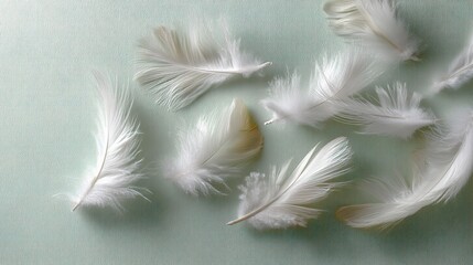Obraz premium Soft White and Beige Decorative Feathers on Gentle Background