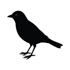 Fototapeta premium Modern Bird Outline Silhouette Vector Illustration