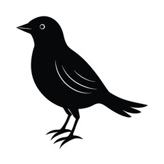 Fototapeta premium Simple Flying Crow Silhouette Vector Illustration