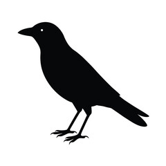 Obraz premium Minimal Style Crow Silhouette Vector Illustration