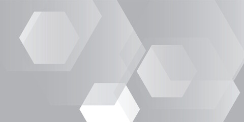 Abstract white geometric hexagon background vector illustration eps10