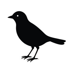 Obraz premium Bird Logo Silhouette Vector Illustration