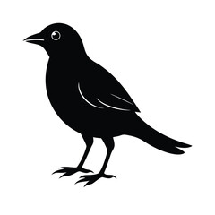 Obraz premium Wall Art Bird Silhouette Vector Illustration