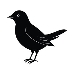 Obraz premium Natural Bird Silhouette Vector Illustration