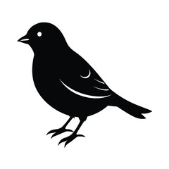 Obraz premium Simple Vector Bird Silhouette Illustration