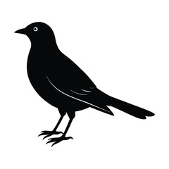 Fototapeta premium Kids Project Bird Silhouette Vector Illustration