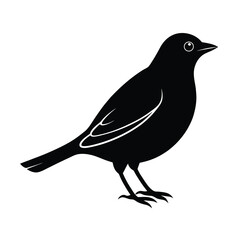 Obraz premium Web Graphics Bird Silhouette Vector Illustration