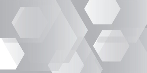 Abstract white geometric hexagon background vector illustration eps10