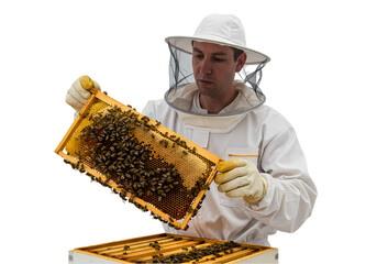 Beekeeper Inspecting Honeycomb Frame HighQuality Stock Photo on Transparent background
