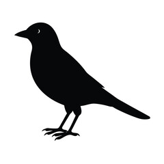 Obraz premium Graceful Crow Flight Silhouette