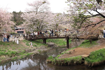 Obraz premium 忍野八海