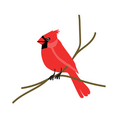 Exotic bird Red cardinal. Vector illustration