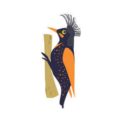 Exotic bright colorful woodpecker. Vector illustration