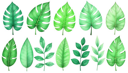 Watercolor illustration of vibrant green tropical leaves on a white background, perfect for design.