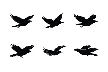 Obraz premium Stylized Crow Silhouette Design