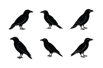 Obraz premium Flying Black Bird Vector Art