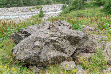 The surface of the rock. The surface of natural hard stone. Rocks in the mountains. Rocks, minerals, and minerals.