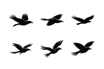 Obraz premium Streamlined Flying Crow Vector