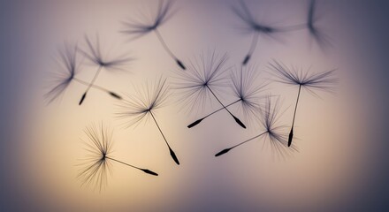 Whispers of the Wind: Delicate dandelion seeds, each a tiny testament to the wonders of nature, float and dance against an ethereal backdrop, evoking a sense of serenity and freedom.